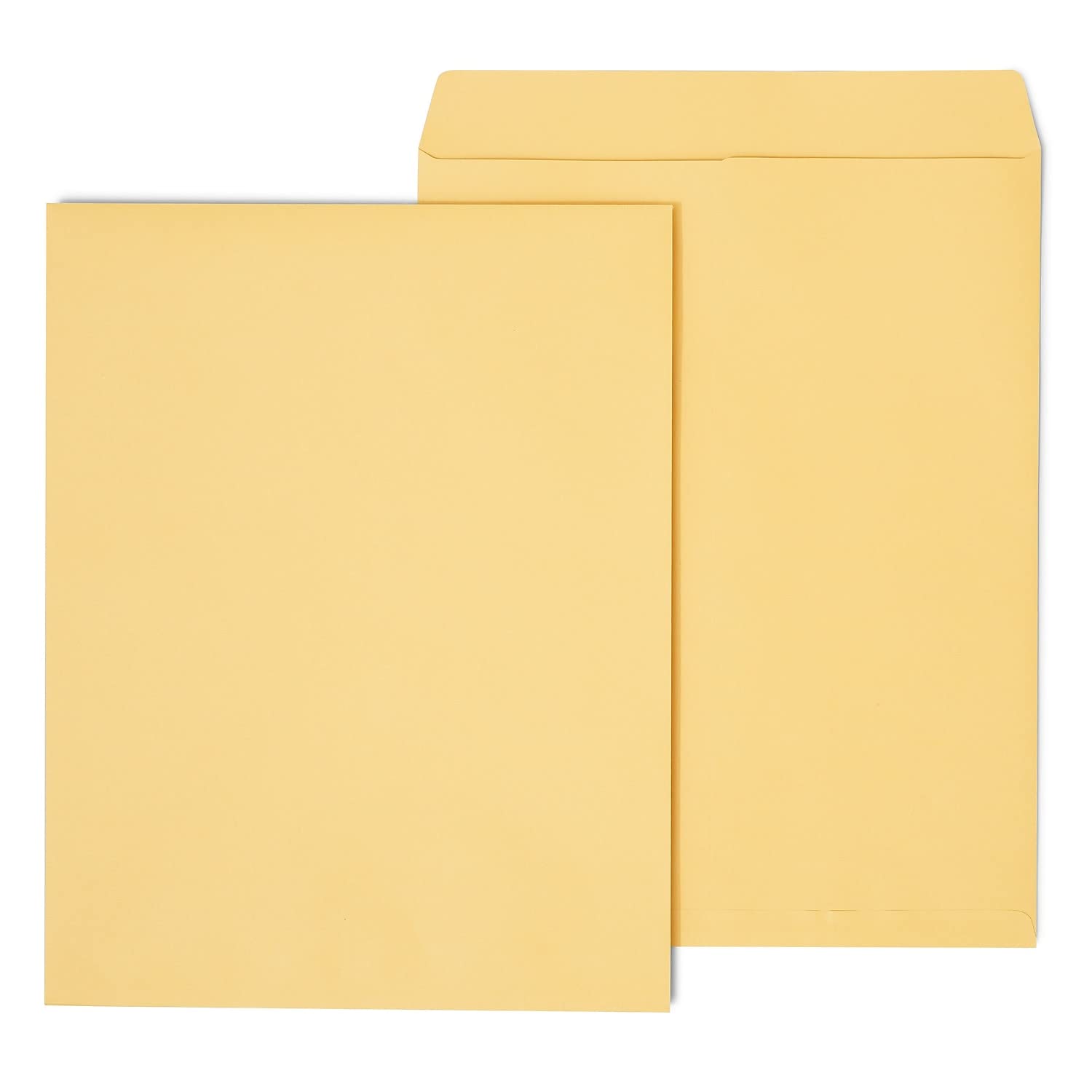 Foto 1 | Catálogo De Sobres Staples 195776 Brown Kraft, 14 X 18 Cm, 25 Unidades - Venta Internacional.
