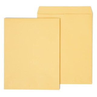 Foto 1 | Catálogo De Sobres Staples 195776 Brown Kraft, 14 X 18 Cm, 25 Unidades - Venta Internacional.
