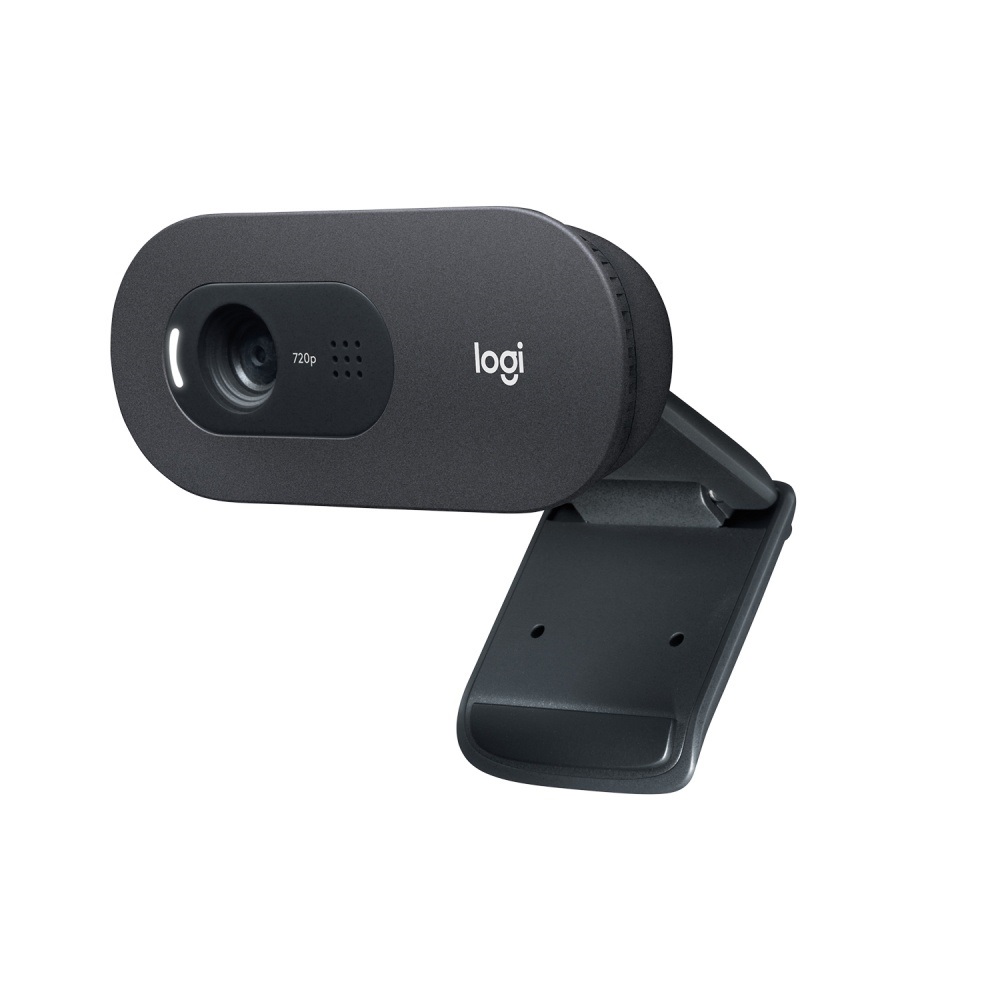 Cámara Web Logitech 960-001367 color Negro C505 Videoconferencias Hd 720p