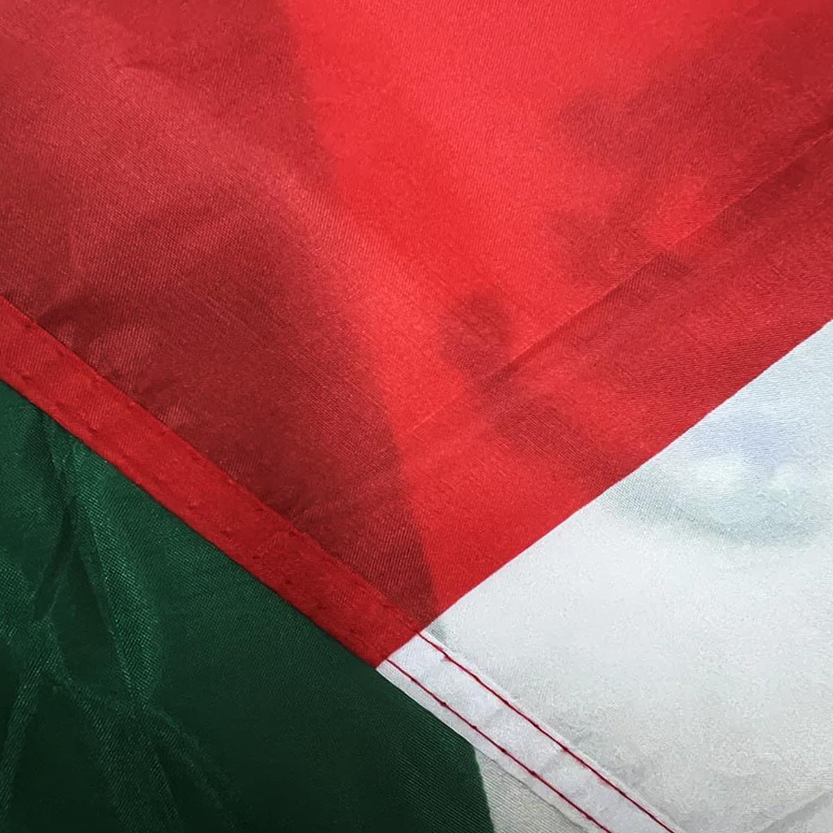 Foto 3 | Bandera De México Carro Ventdepot Mxfax-006 10  Piezas Multicolor