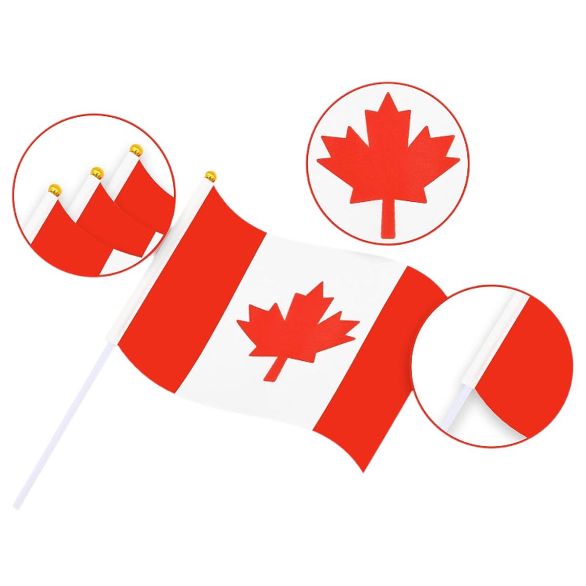 Foto 3 | Bandera Pequeña De Canadá Ventdepot Mxcaf-006 50 Piezas Multicolor