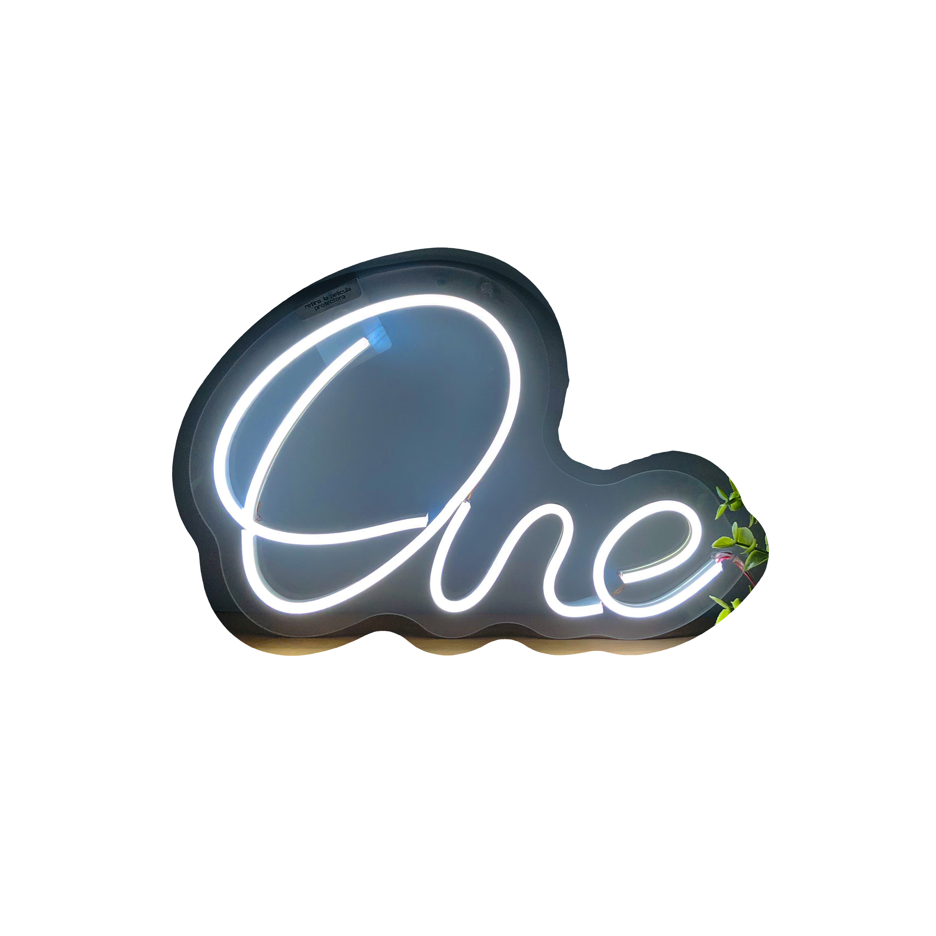 Foto 1 | Letrero Led Neón Personalizado "ONE" 33cm x 22cm