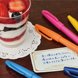 Foto 6 | Venta Internacional -Colores con Punta de Fieltro Pentel Pen Touch Ses15c-12 12 Piezas