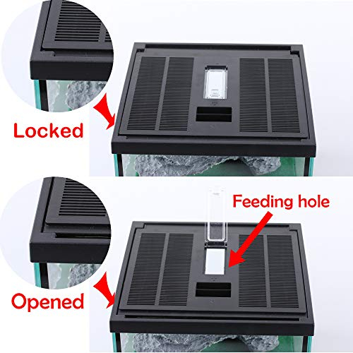 Foto 6 pulgar | Caja De Cristal Para Terrario Para Mascotas Pequeñas, Reptiles Y Anfibios - Venta Internacional.
