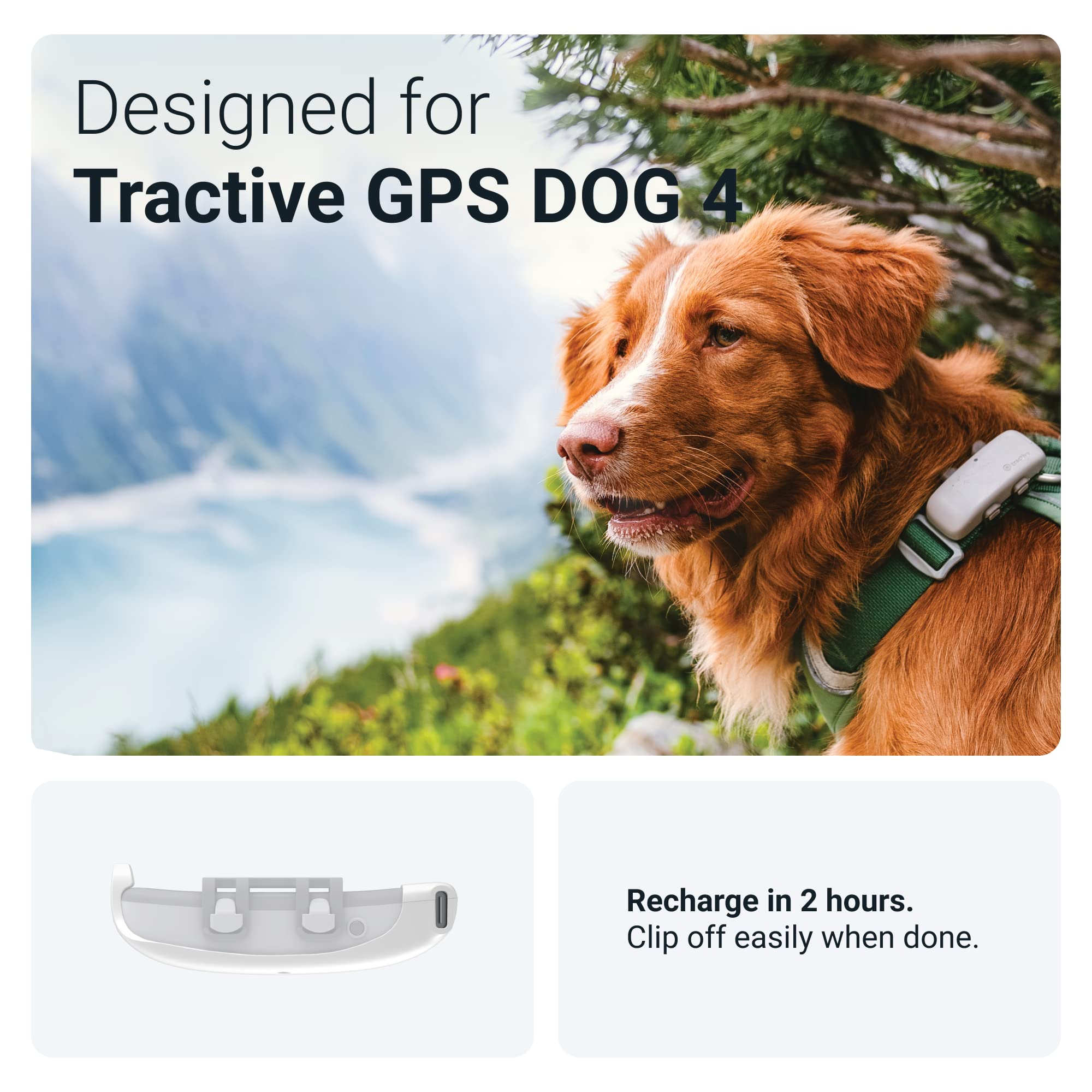 Foto 4 | Cargador Gps Tractive Gps Dog 4 (lte) Con Clip - Venta Internacional.