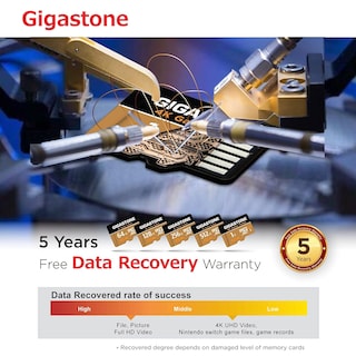Foto 5 | Tarjeta Micro Sd Gigastone De 128 Gb Para Nintendo-switch - Venta Internacional