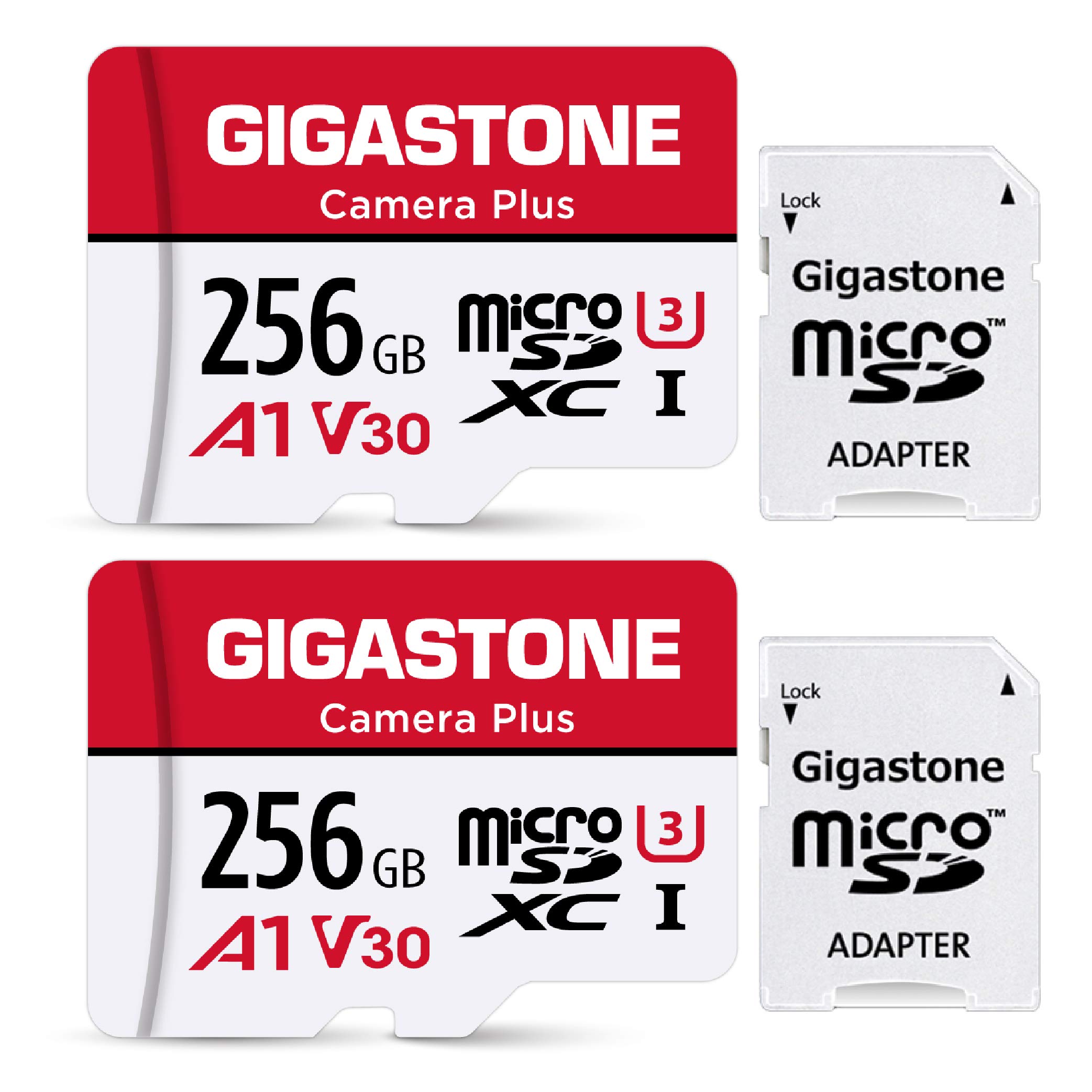 Tarjeta De Memoria Gigastone Camera Plus De 256 Gb (paquete De 2) Con Funda - Venta Internacional.