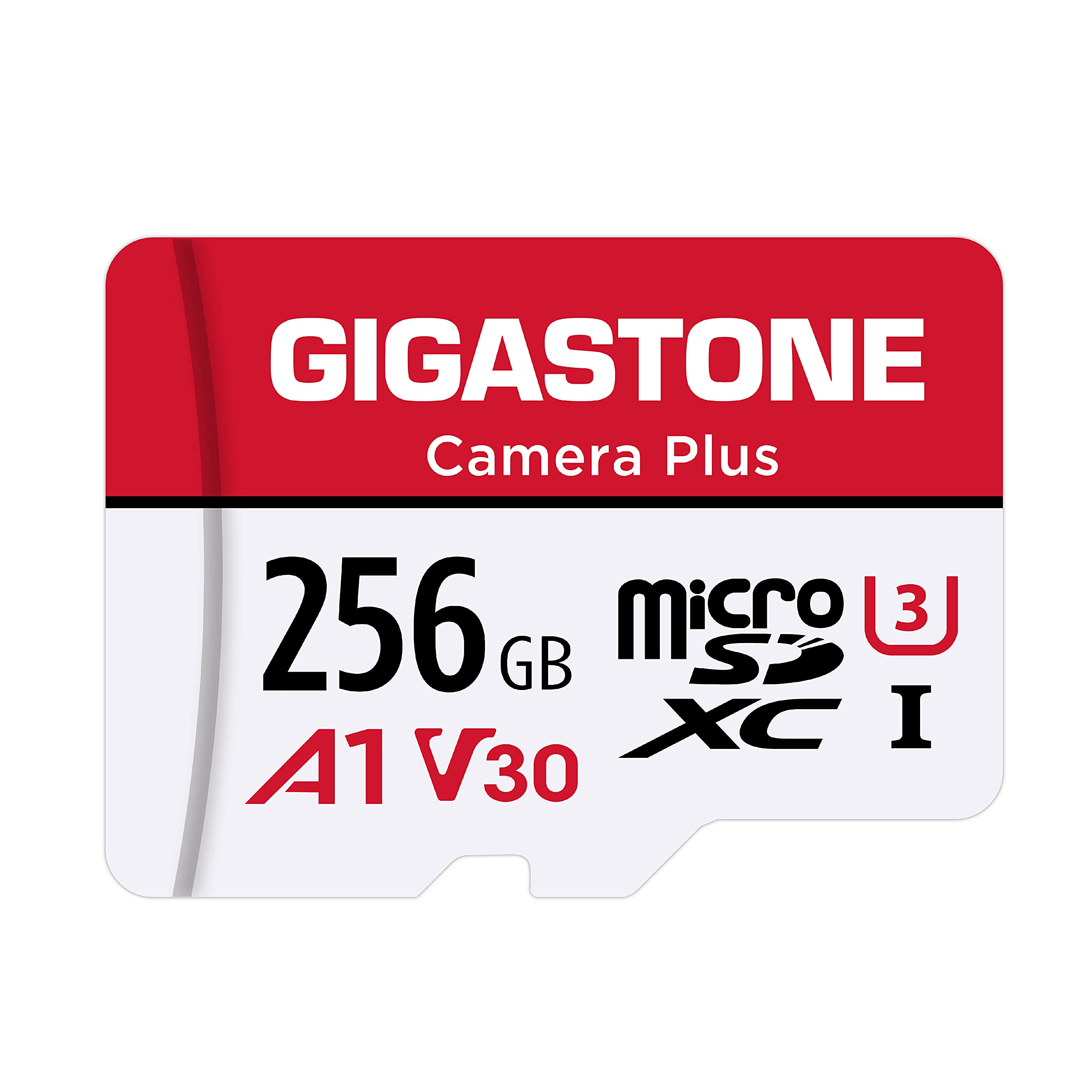 Foto 2 pulgar | Tarjeta De Memoria Gigastone Camera Plus 256gb A1 Micro Sdxc - Venta Internacional.