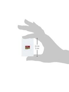 Foto 3 | Tarjeta de Memoria Sandisk Extreme Microsd 1 Tb Uhs-i Para Vídeo 4k - Venta Internacional