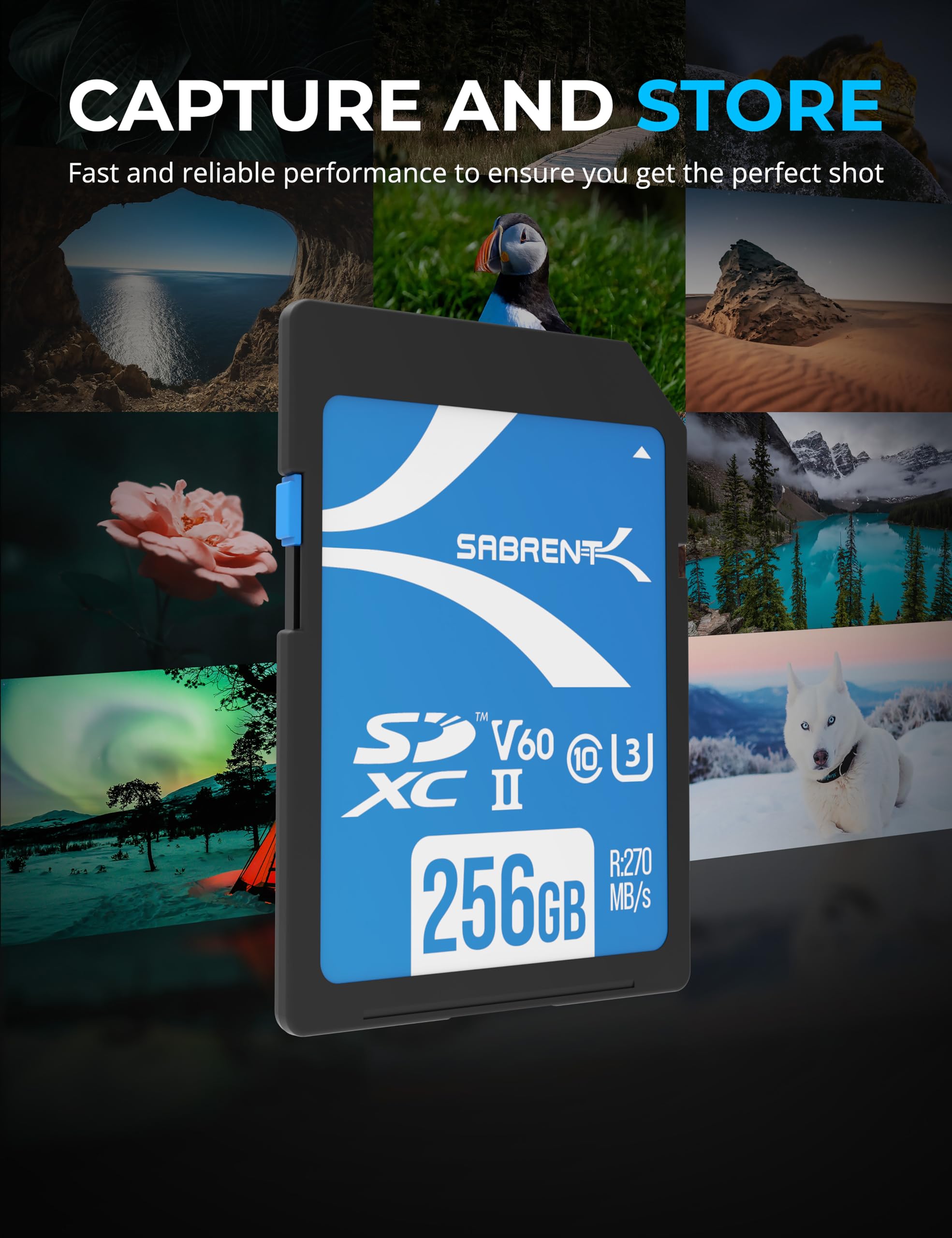 Foto 3 pulgar | Tarjeta De Memoria Sabrent Rocket V60 256gb Sd Uhs-ii R270 Mb/s - Venta Internacional.