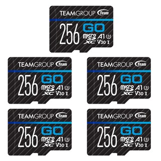 Foto 1 | Tarjeta De Memoria Teamgroup Go Card 256 Gb X 5 Pack Micro Sdxc Uhs-i U3 V30 - Venta Internacional.