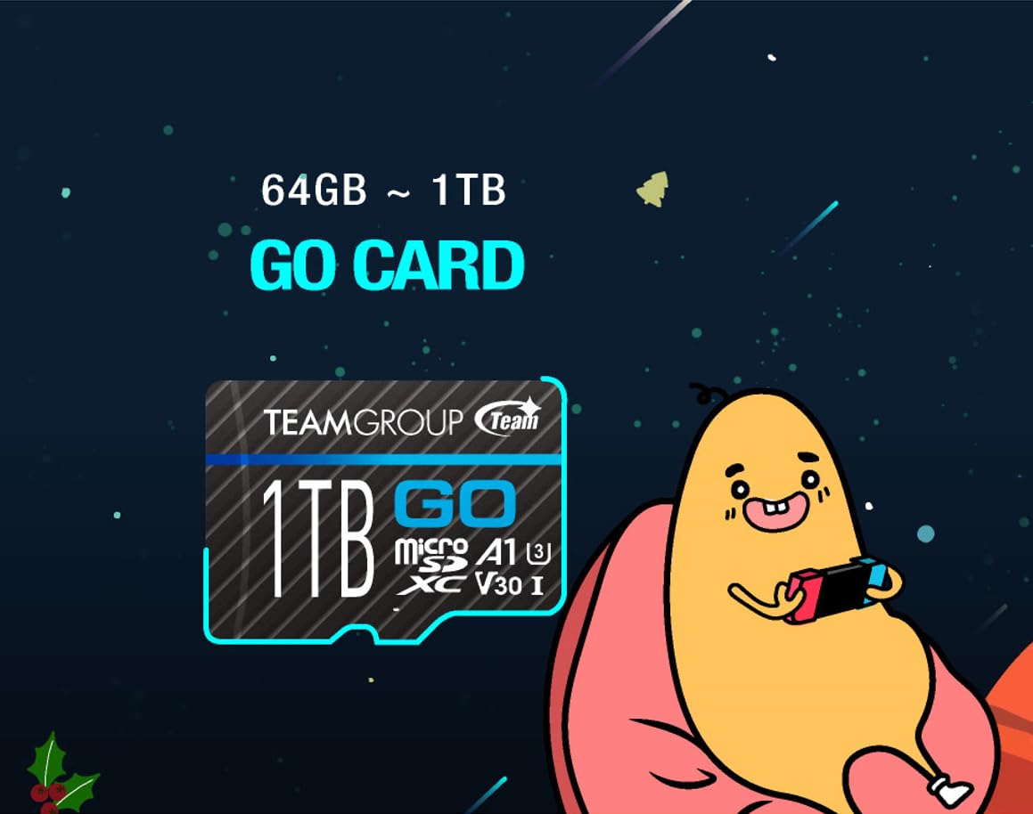 Foto 5 | Tarjeta De Memoria Teamgroup Go Card 128 Gb X 5 Micro Sdxc Uhs-i U3 - Venta Internacional.