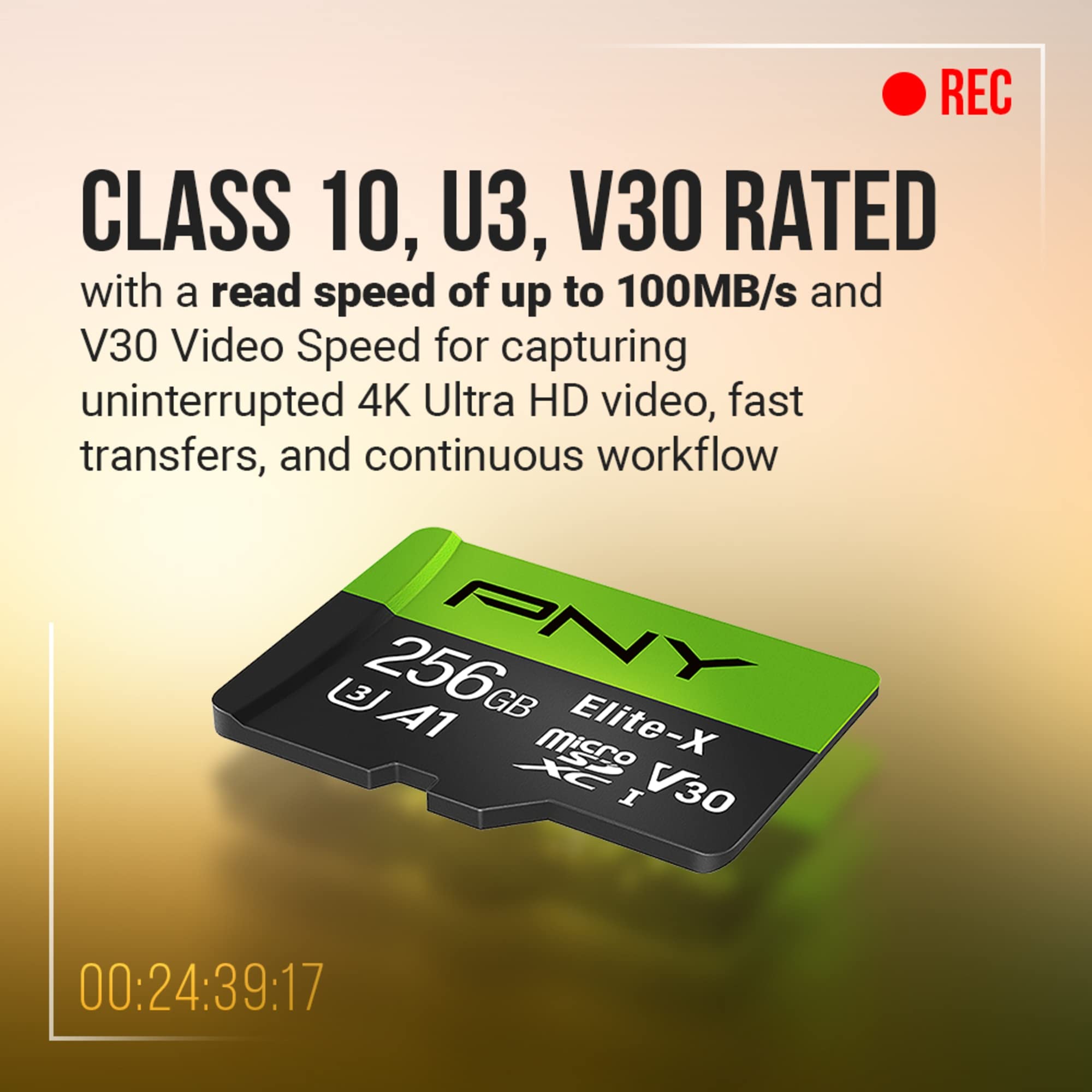 Foto 4 pulgar | Tarjeta De Memoria Pny Elite-x Microsdxc 256gb Class 10 U3 V30 - Venta Internacional.