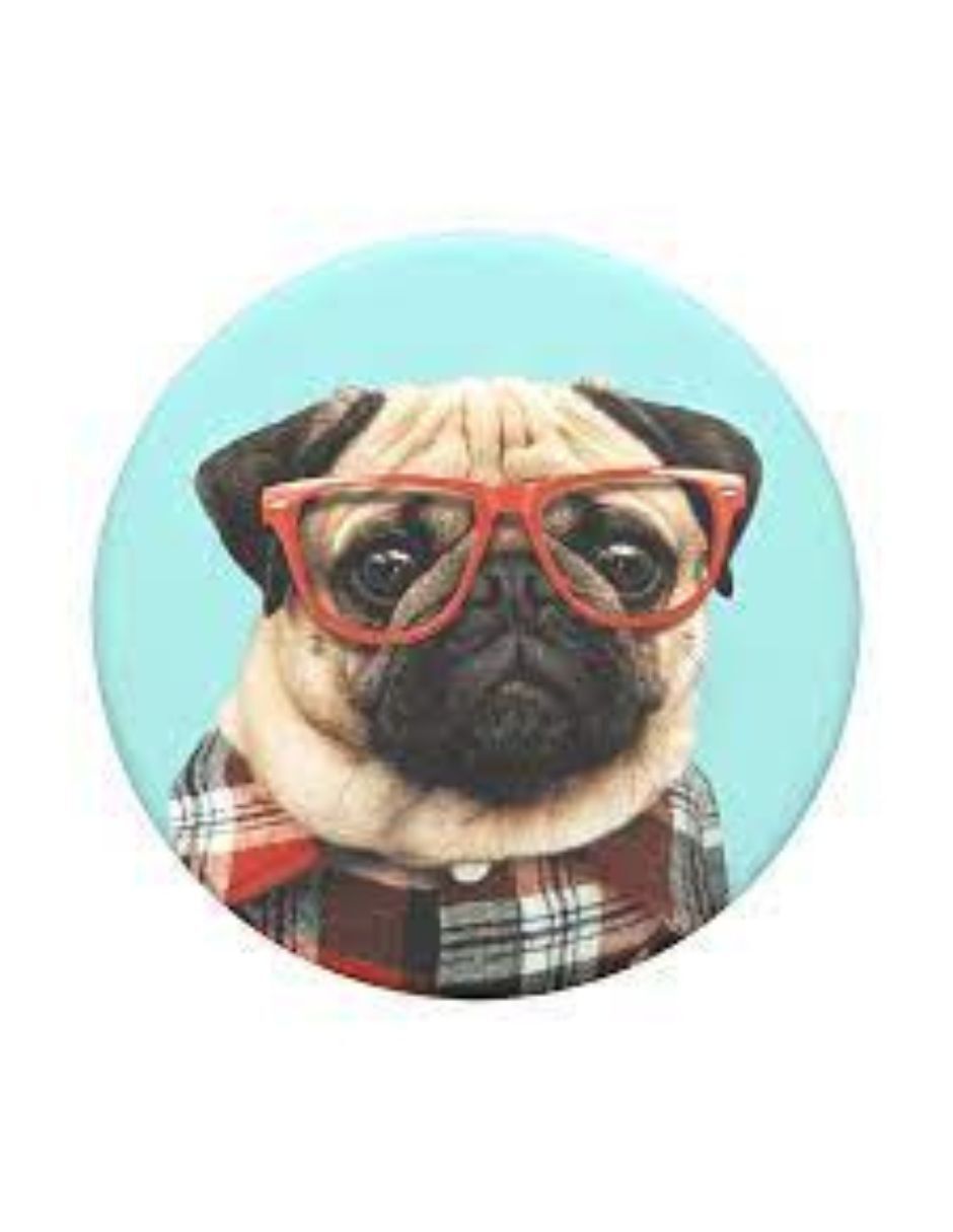 Foto 4 pulgar | PopSockets Studious Pug Azul