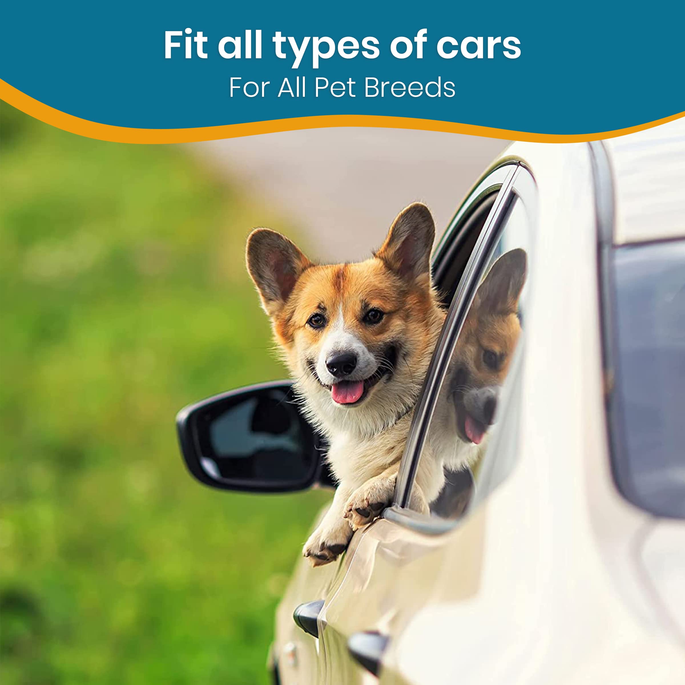 Foto 7 | Paquete De 2 Cinturones De Seguridad Para Perros Pawbee Para Coches, Ajuste De Seguridad - Venta Internacional.