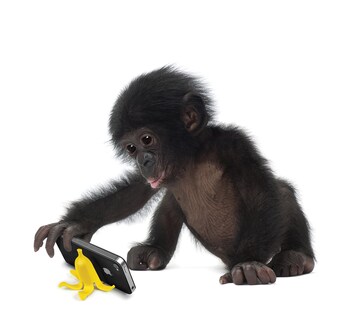 Foto 4 | Soporte Para Teléfono Original Fred Fred Banana Stand Basta - Venta Internacional.