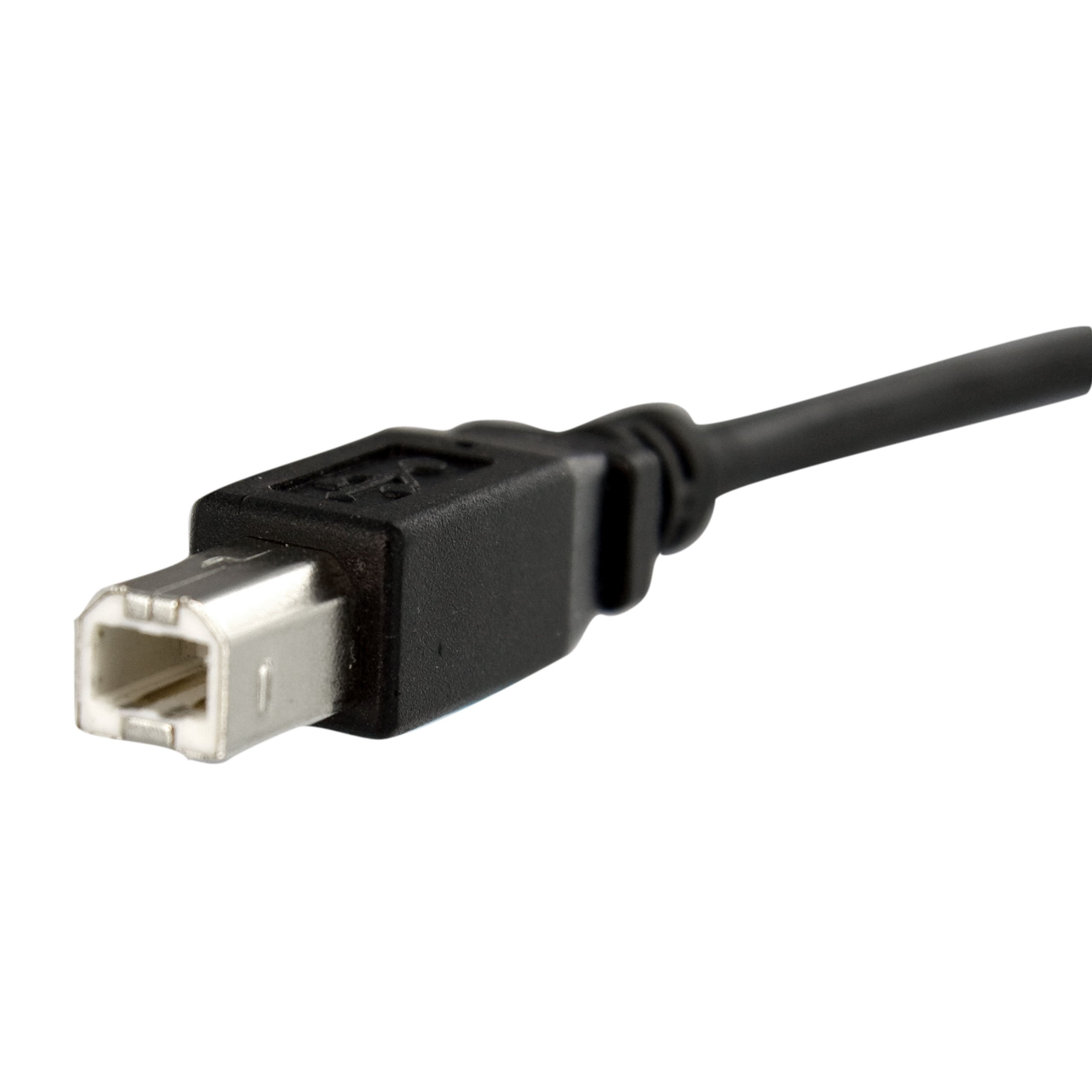 Foto 4 pulgar | Cable Usb Startech.com Para Montaje En Panel Usb B A B De 1 Pie 2.0 - Venta Internacional.