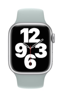 Foto 3 | Correa De Reloj Apple Sport Band Succulent De 41 Mm Para Apple Watch - Venta Internacional