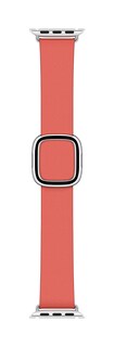 Foto 1 | Correa para Apple Watch con Hebilla Rosa Cítrica 40 mm - Venta Internacional