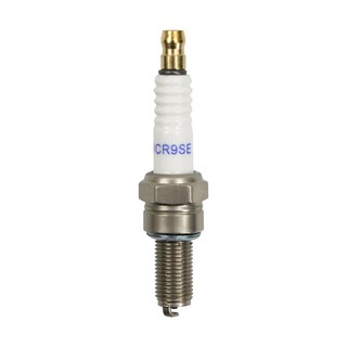 Foto 2 | Bujia W-standard Cr9e
