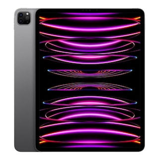 Foto 1 | Apple Ipad Pro 12.9'' 6 Gen Wi-fi+cellular 128gb Gris Reacondicionado