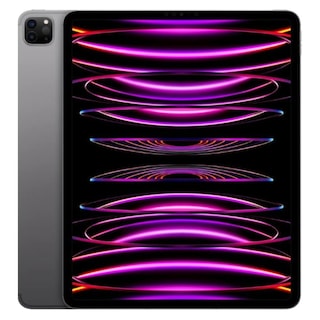 Foto 1 | Apple Ipad Pro 12.9'' 6 Gen Wi-fi+cellular 1tb Gris Reacondicionado