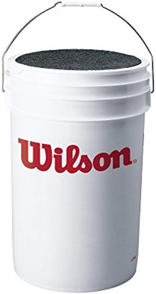 Foto 4 | Pelotas de Softbol Wilson A9011 Collegiate & High School Nfhs 1 Docena - Venta Internacional