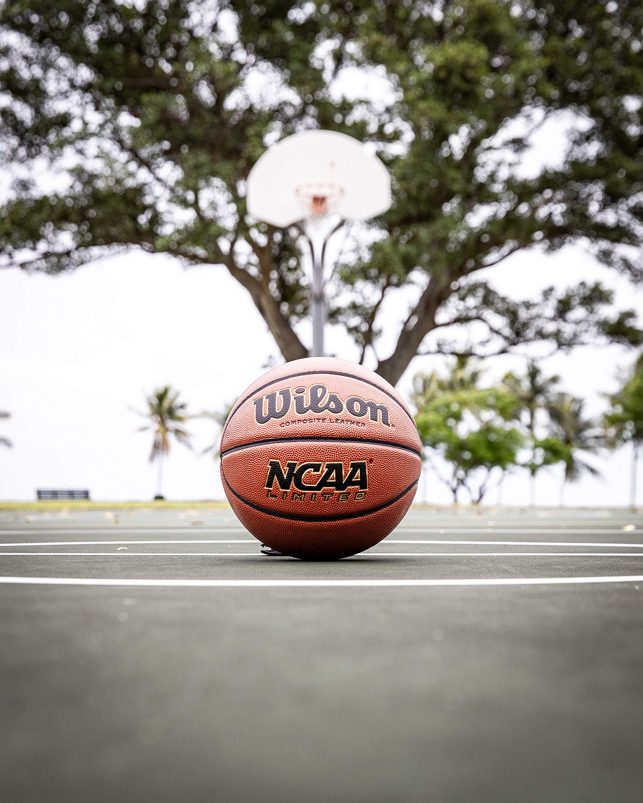 Foto 5 pulgar | Baloncesto Wilson Ncaa Limited, Talla 7, 29,5 Cm, Color Marrón - Venta Internacional.