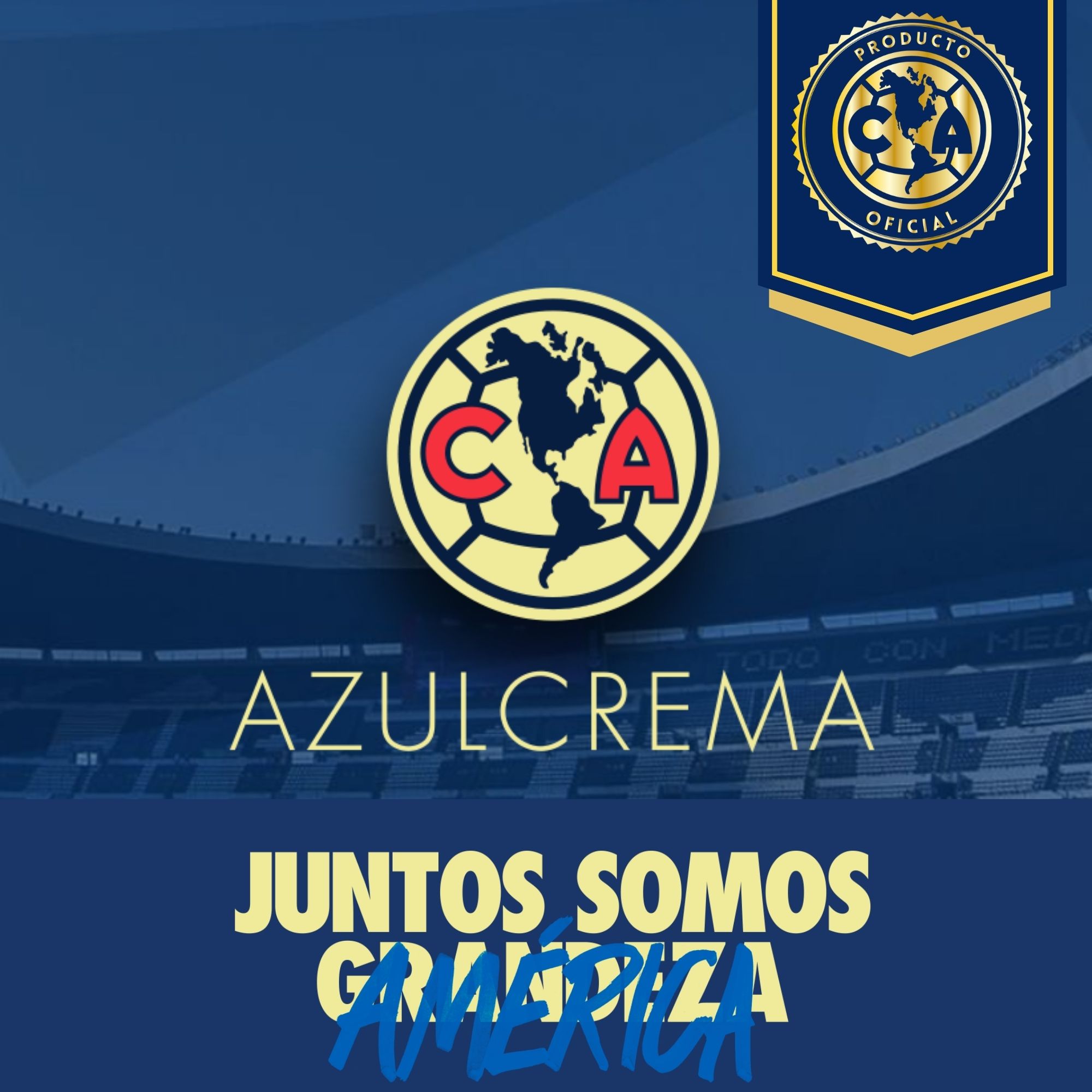 Foto 6 pulgar | Portería De Futbol Infantil 94x57x57 cm - Club América