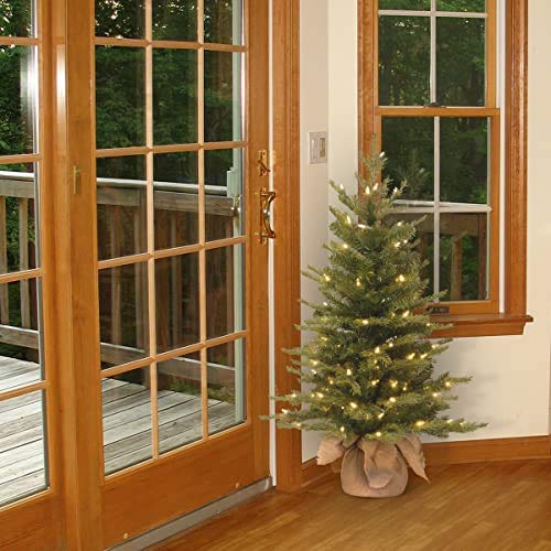 Foto 3 pulgar | Árbol De Navidad Artificial National Tree Company De 90 Cm Con Luces - Venta Internacional.