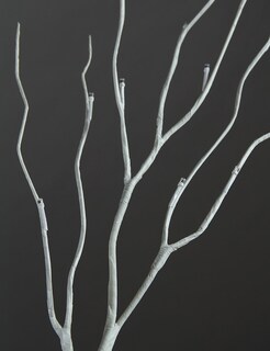 Foto 6 | Birch Tree Lightshare De 4 Pies Con 48 Luces Led De Color Blanco Cálido - Venta Internacional.