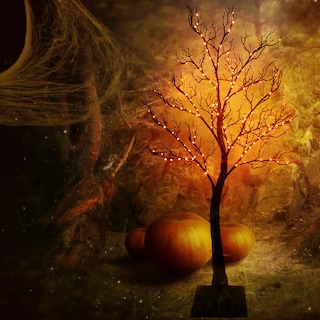 Foto 6 | Halloween Tree Fudios Iluminado En Negro Con 150 Led Naranjas De 4 Pies - Venta Internacional.