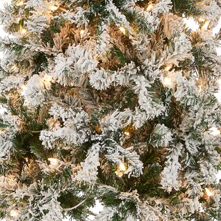 Foto 2 | Árbol De Navidad First Traditions Acacia De National Tree Company, 6 Pies - Venta Internacional.