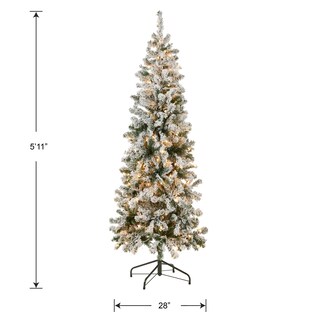 Foto 5 | Árbol De Navidad First Traditions Acacia De National Tree Company, 6 Pies - Venta Internacional.
