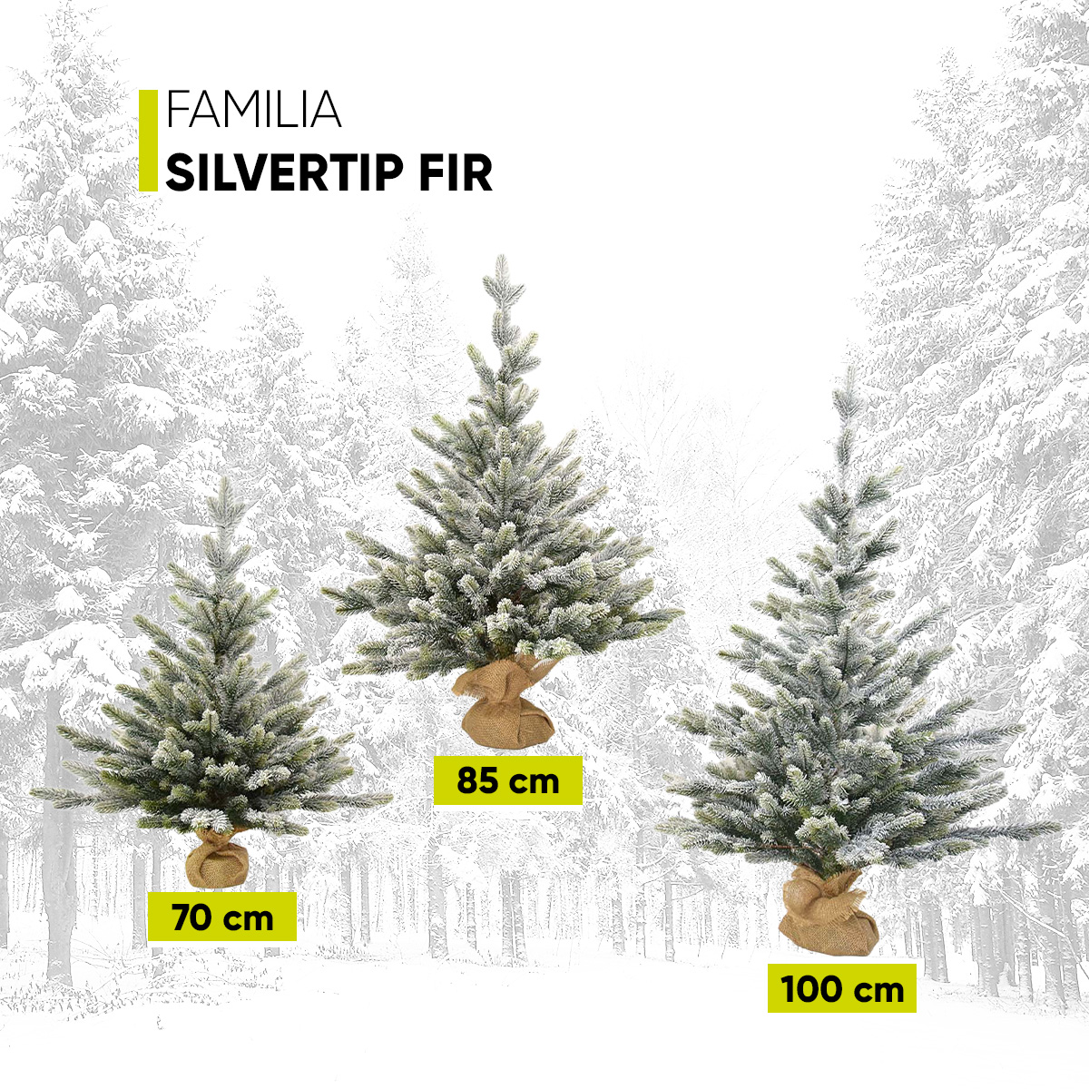 Foto 7 pulgar | Árboles De Navidad Set De 3 Piezas (70-85-100cm) Silvertip Fir Ramas Premium Material Polietileno (pe) Con Base De Mor