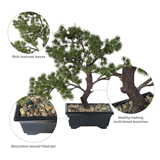 Foto 7 | Bonsái De Pino Artificial En Maceta Vickerman Everyday, 30 Cm - Venta Internacional.