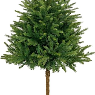 Foto 2 | Árbol De Navidad Premium Verde Pet Friendly 1.80 M X 90 Cm – Diseño Seguro Y Elegante Kyuden Home