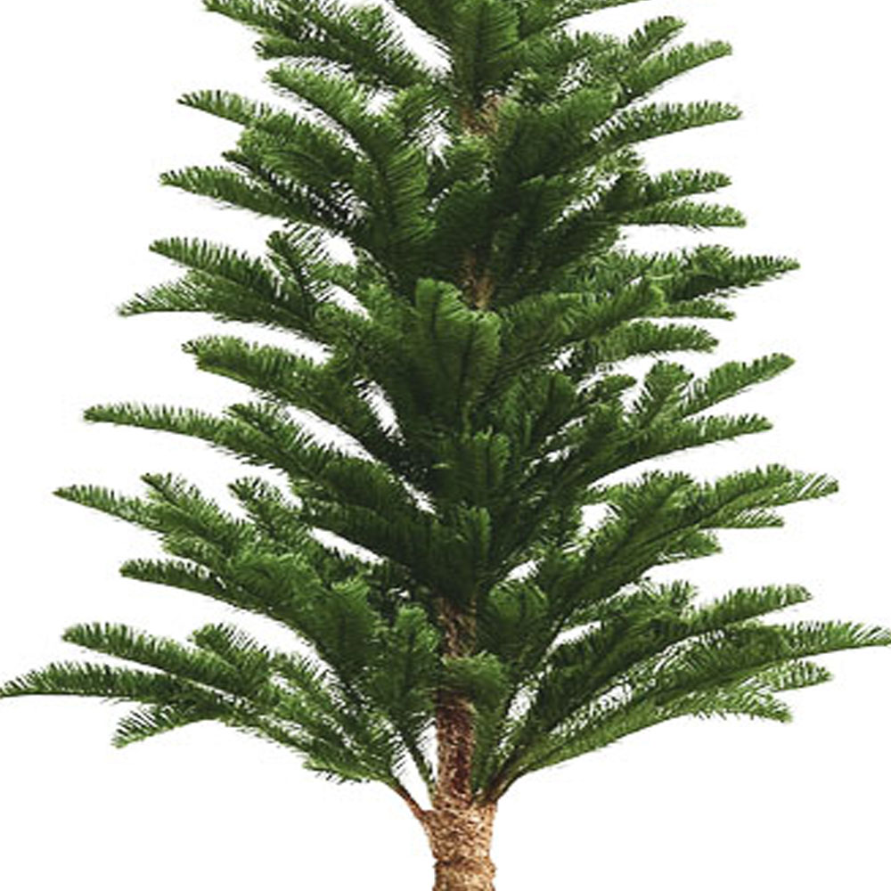 Foto 4 pulgar | Árbol De Navidad Premium Verde Minimalista En Maceta 1.80 M X 22 Cm – Moderno Y Elegante Kyuden Home