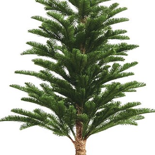 Foto 3 | Árbol De Navidad Premium Verde Minimalista En Maceta 1.80 M X 22 Cm – Moderno Y Elegante Kyuden Home