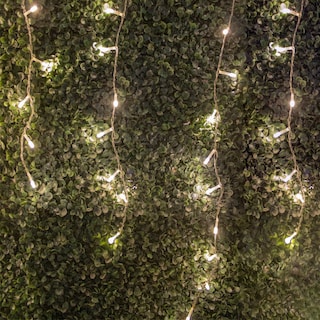 Foto 2 | Serie Cascada Navideña Luz Led Cálida Importadora La Merced 300 Focos 6 m paquete 3 piezas