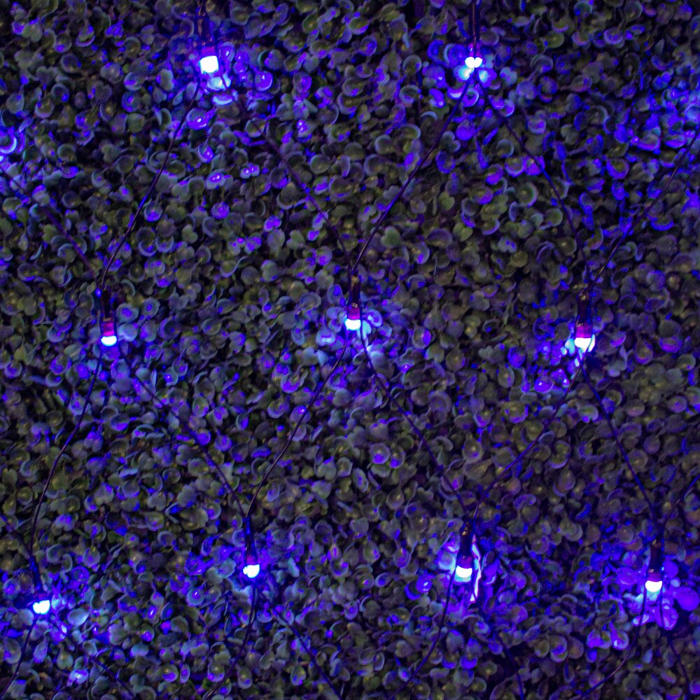 Foto 4 pulgar | Red De Luces Navideña Luz Morada Navicolors 1.80 X 1.65 M Paquete 3 Pz