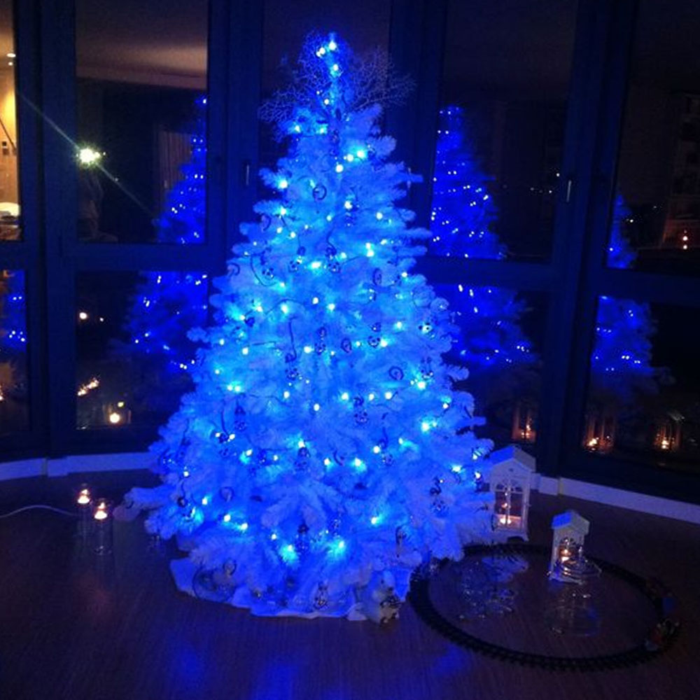 Foto 4 | Serie De Luces Navideñas Led 50 Focos Luz Azul Brillante