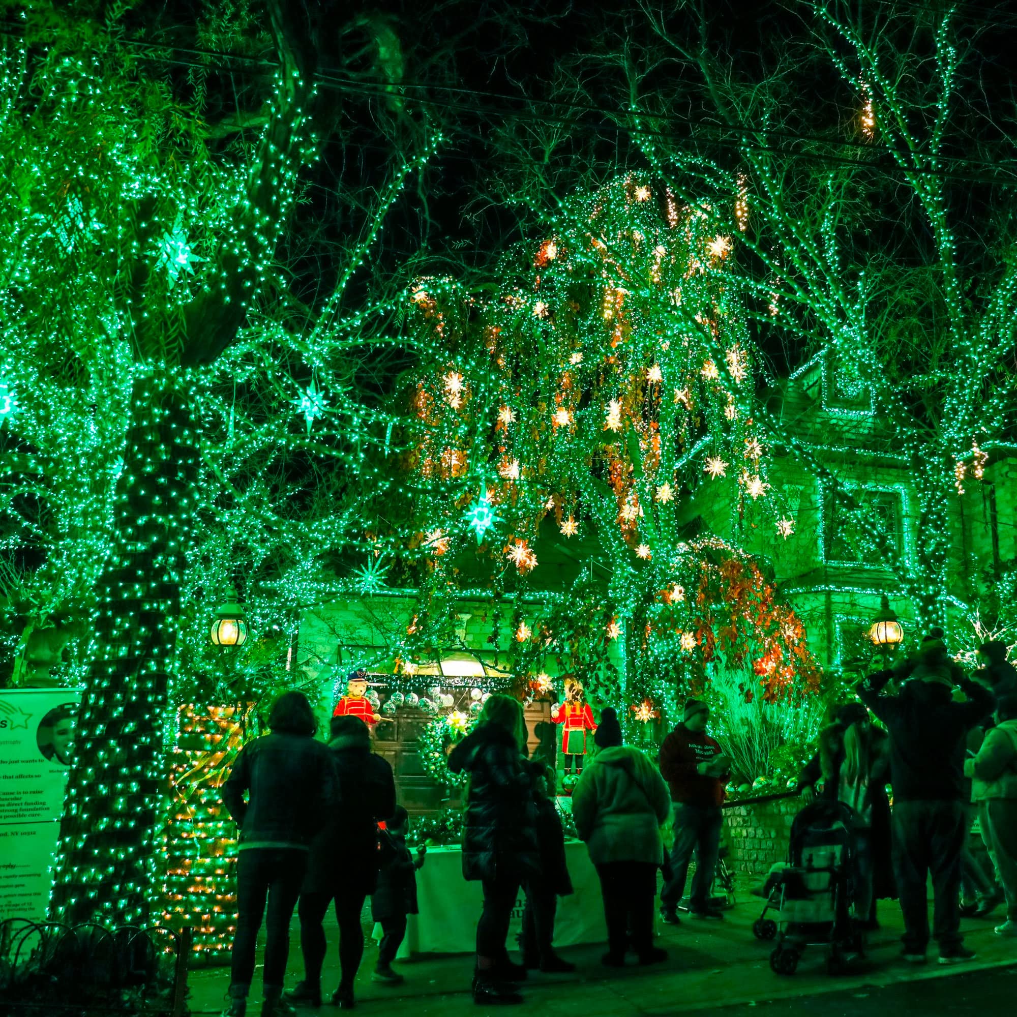 Foto 6 pulgar | Fairy Lights Dazzle Bright, 20 M, 60 Led, Funciona Con Pilas, Color Verde - Venta Internacional.