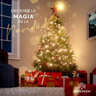 Foto 7 | Kit de Luces de Navidad Sky Green Luz Blanca Y Cálida