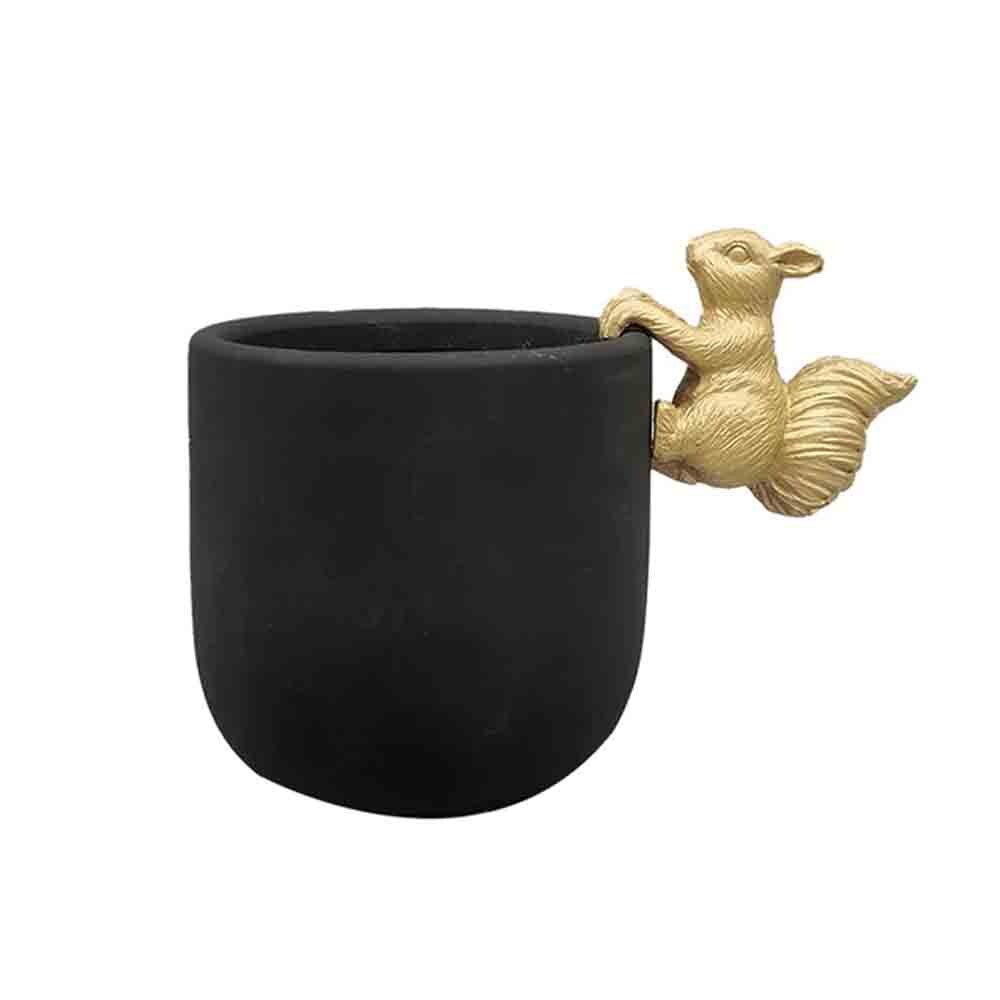 Maceta Ardilla Kyuden Home $489