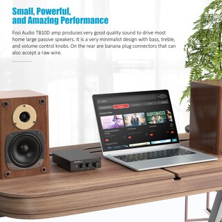 Foto 4 | Amplificador De Potencia Fosi Audio Tb10d 600w Tpa3255 Class D 2ch - Venta Internacional.