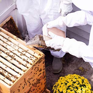 Foto 3 pulgar | Ahumador Bee Hive Vivo Bee-v001l De Acero Inoxidable Con Protector Térmico - Venta Internacional.