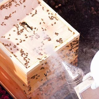 Foto 6 | Ahumador Bee Hive Vivo Bee-v001l De Acero Inoxidable Con Protector Térmico - Venta Internacional.