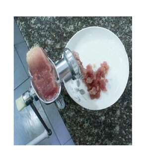 Foto 4 | Molino para Carne BELUG color Plata Manual de Hierro con Cuchilla