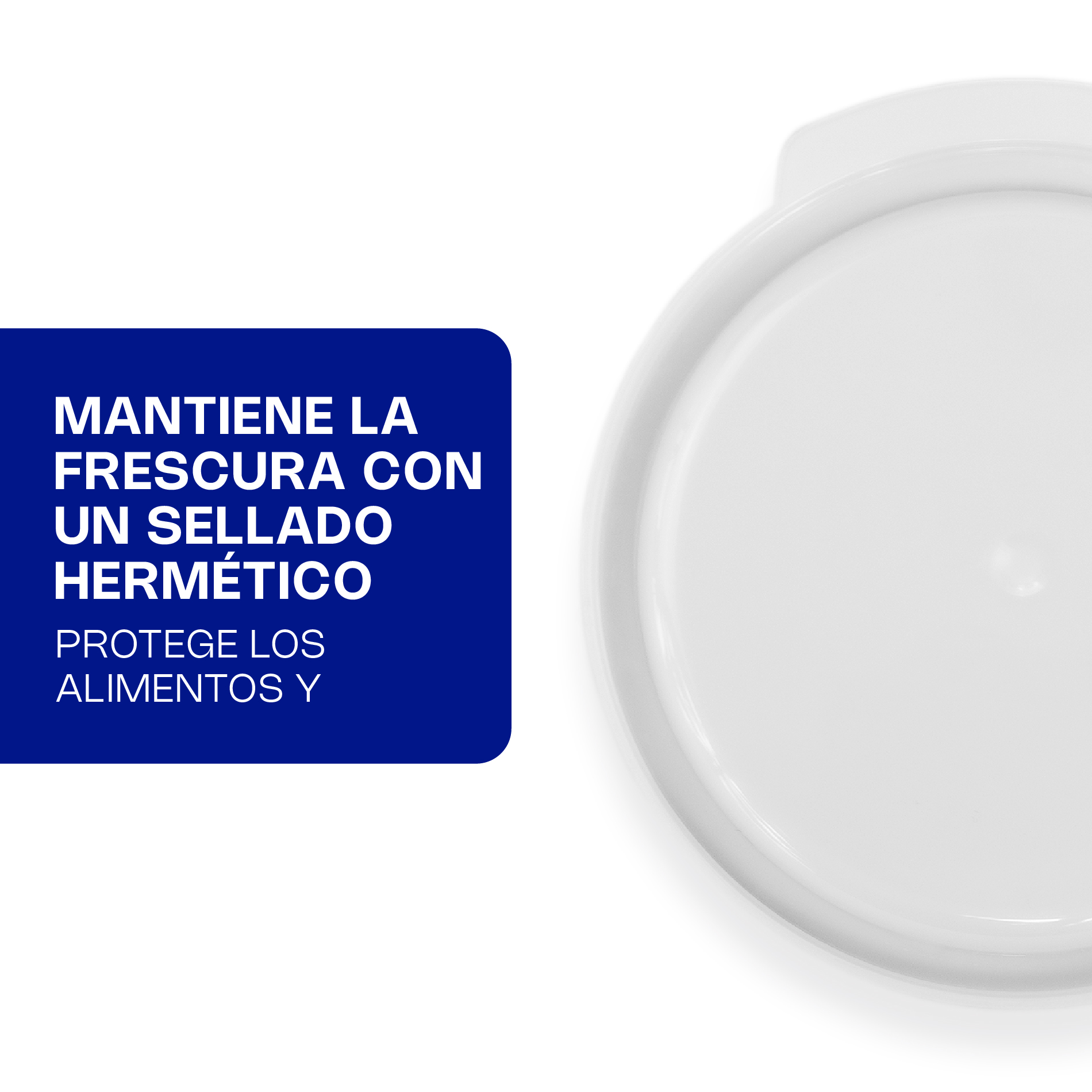 Foto 4 | Tapa Caledonia para Recipiente